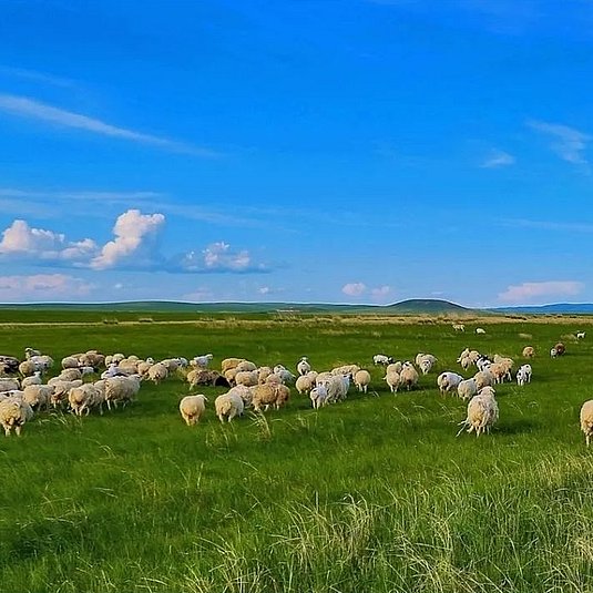 54个国家地理标志保护示范区公布